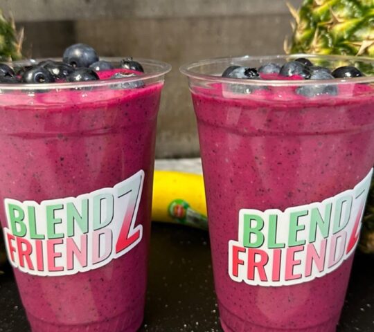 Blendz Friendz