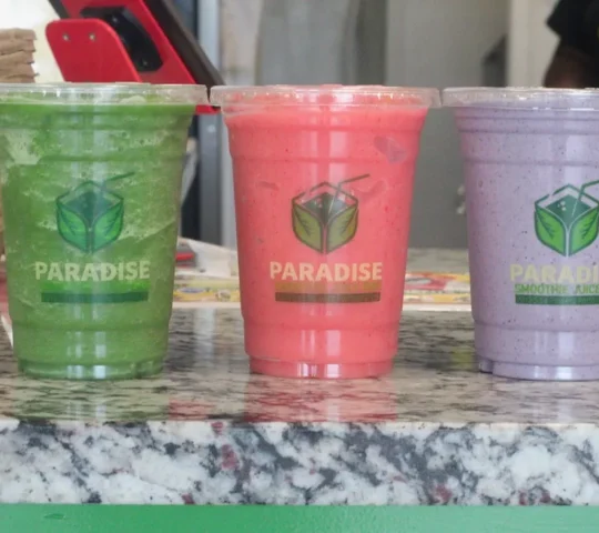 Paradise Smoothie Juice Bar